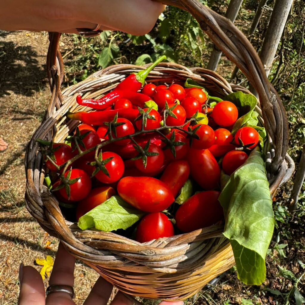 food-garden-Sicily-Cooking-Class