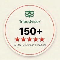 tripadvisor reviews